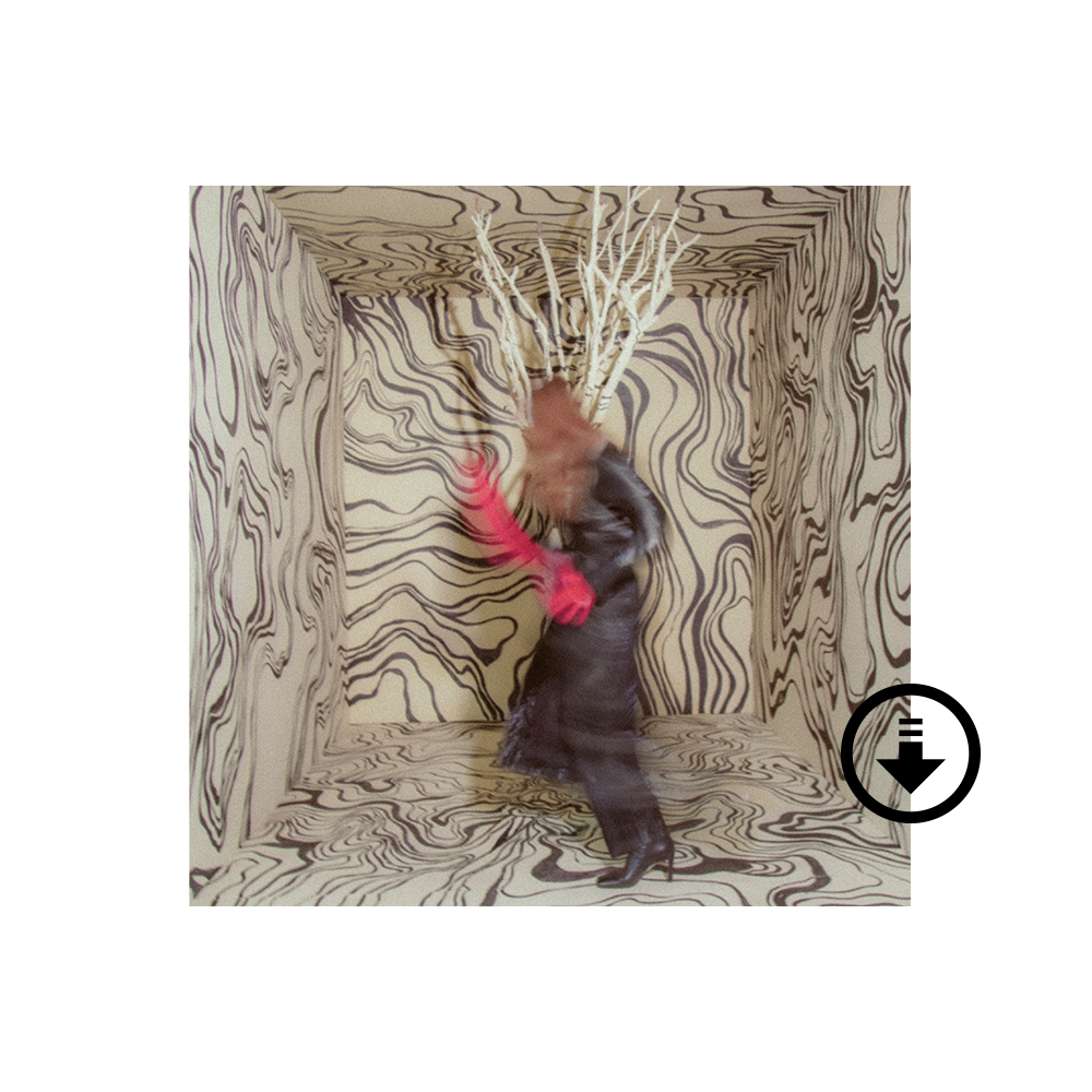 Revealer (Deluxe Edition)- Digital Album